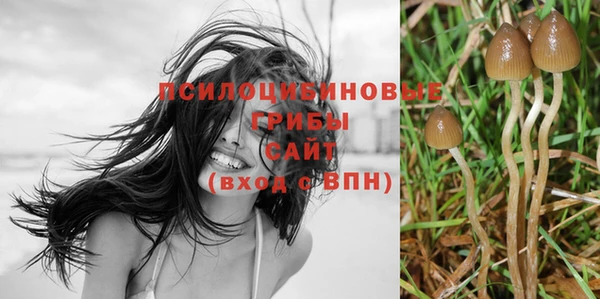 ALPHA-PVP Богородск