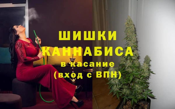 индика Кедровый